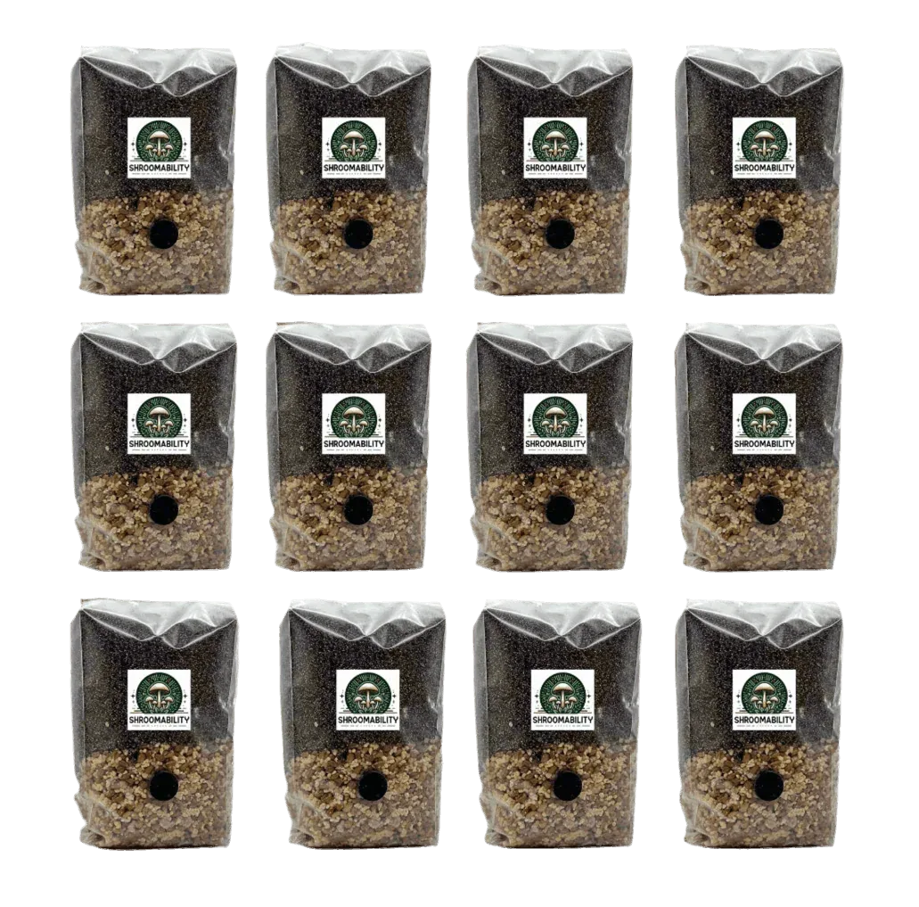2 lb 3-Grain Mini All-In-One Mushroom Grow Bag - Shroomability