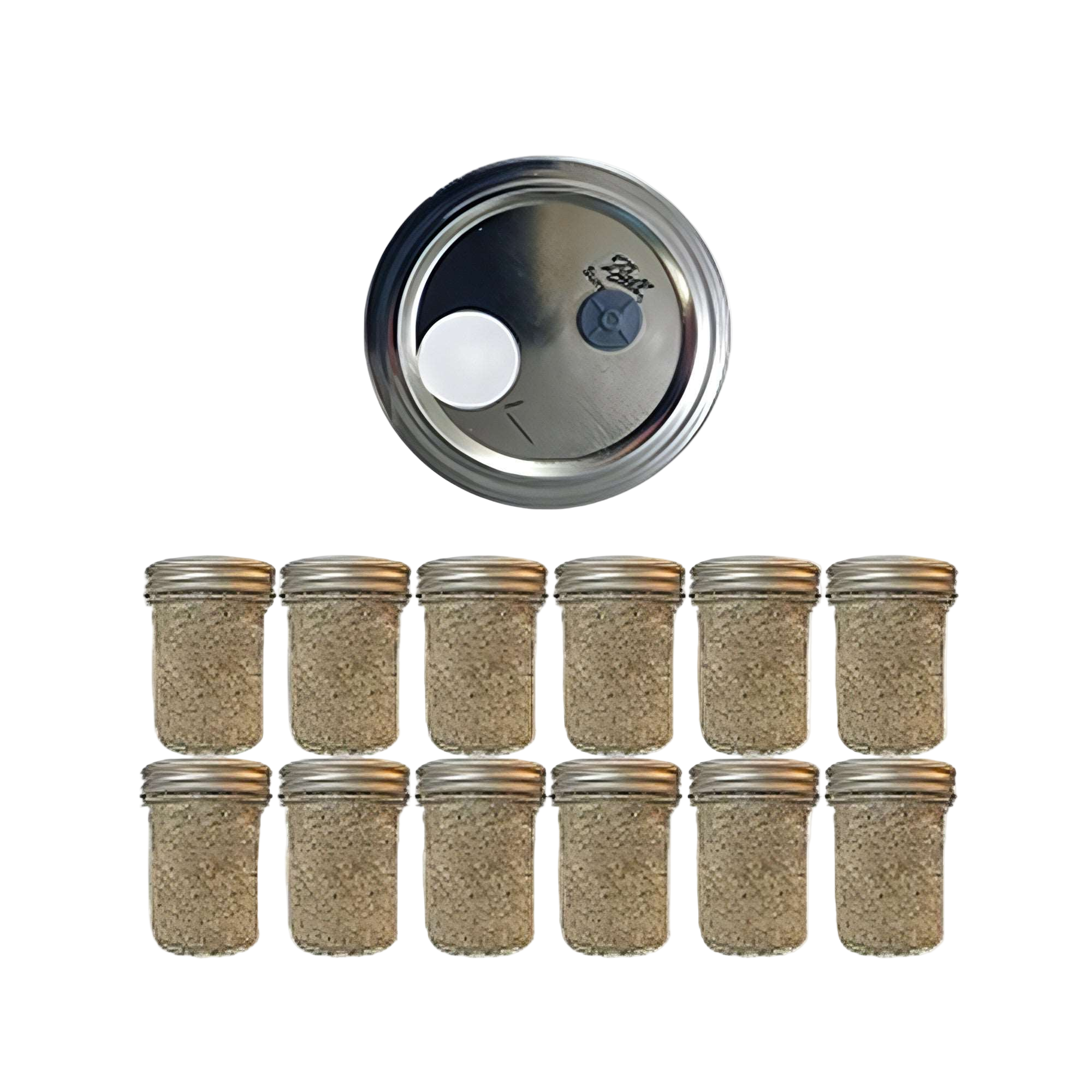 12 Brown Rice Flour and Vermiculite mushroom spawn jars pf tea