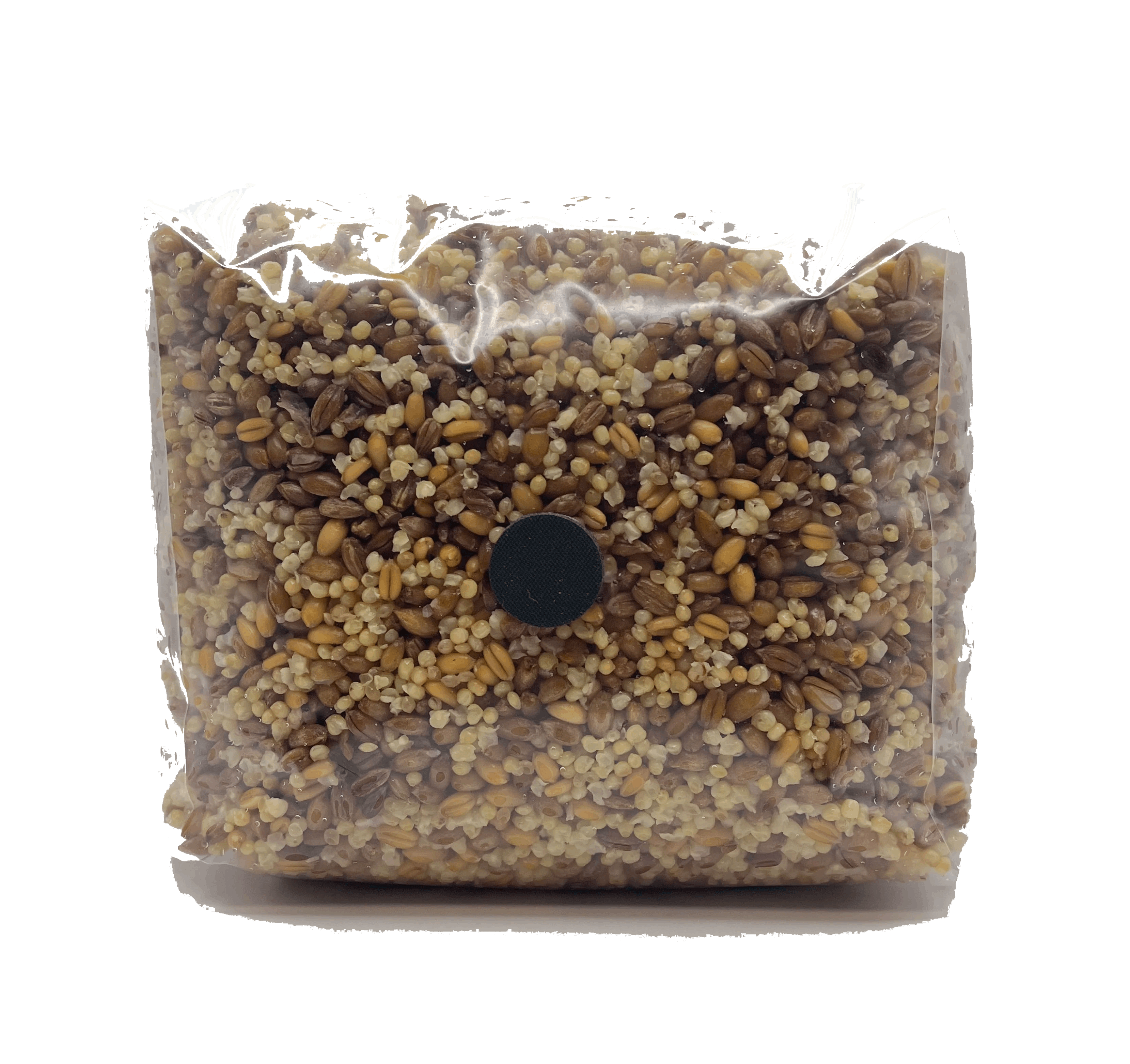 3 pound multi grain mushroom spawn bag