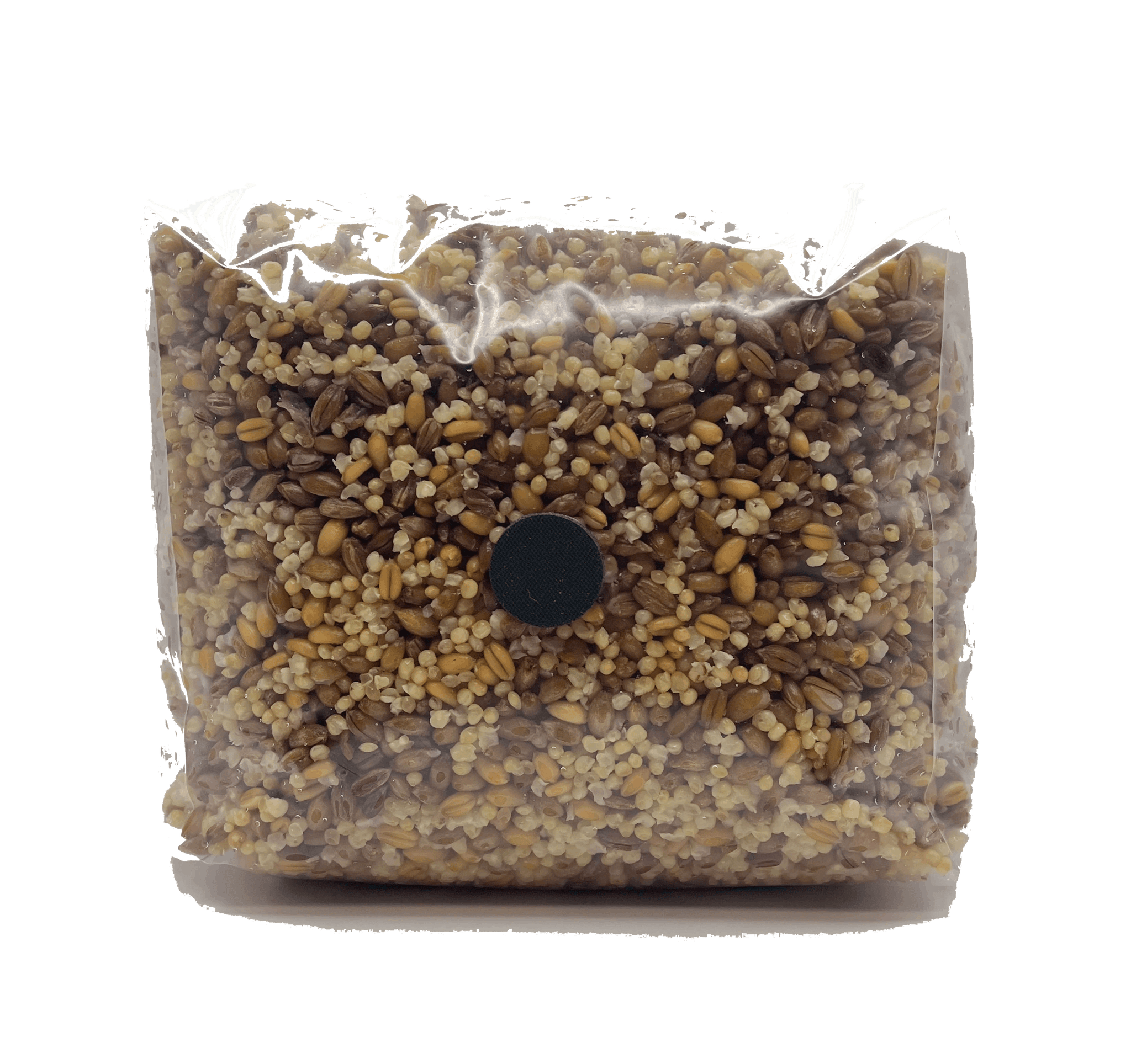 3 pound multi grain mushroom spawn bag