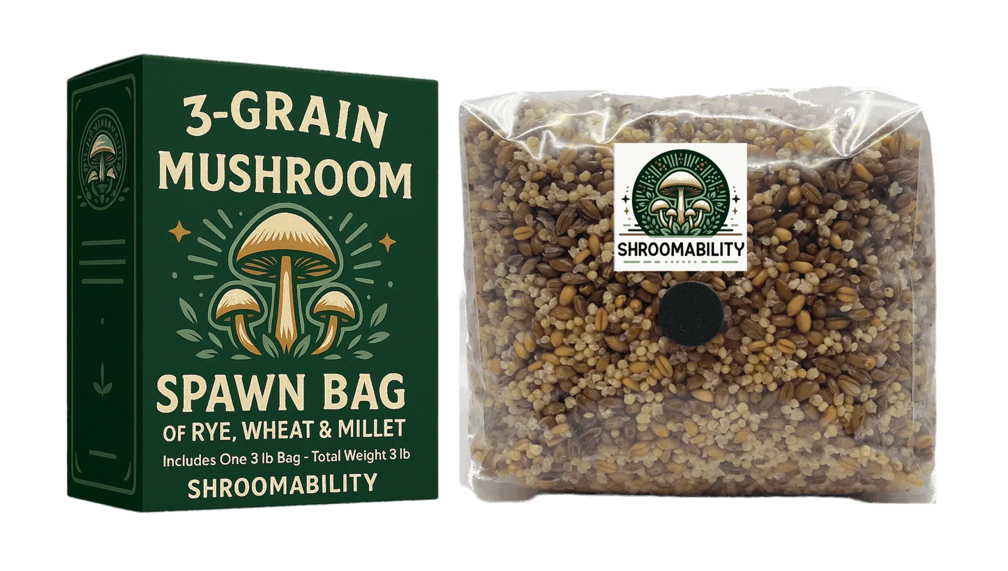 3 lb 3-Grain Mushroom Spawn Bag - Shroomability