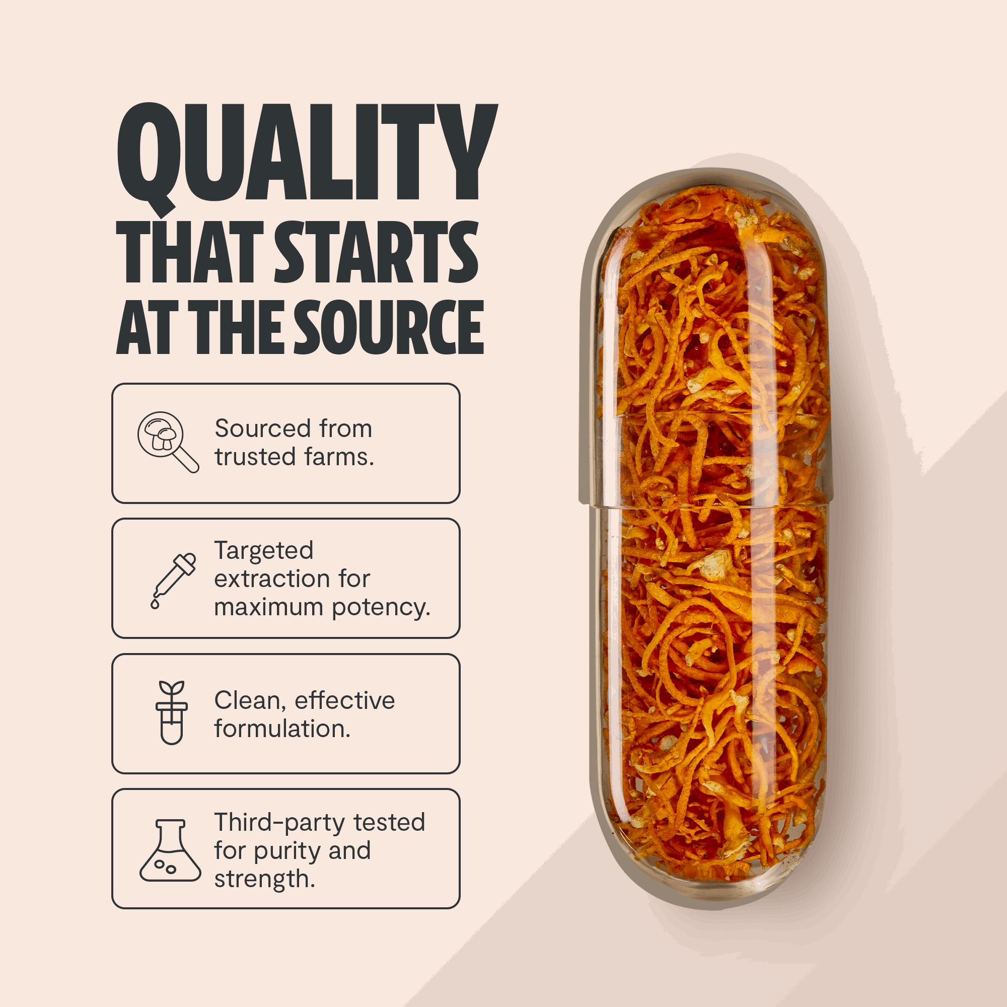 Cordyceps Mushroom Extract Capsules