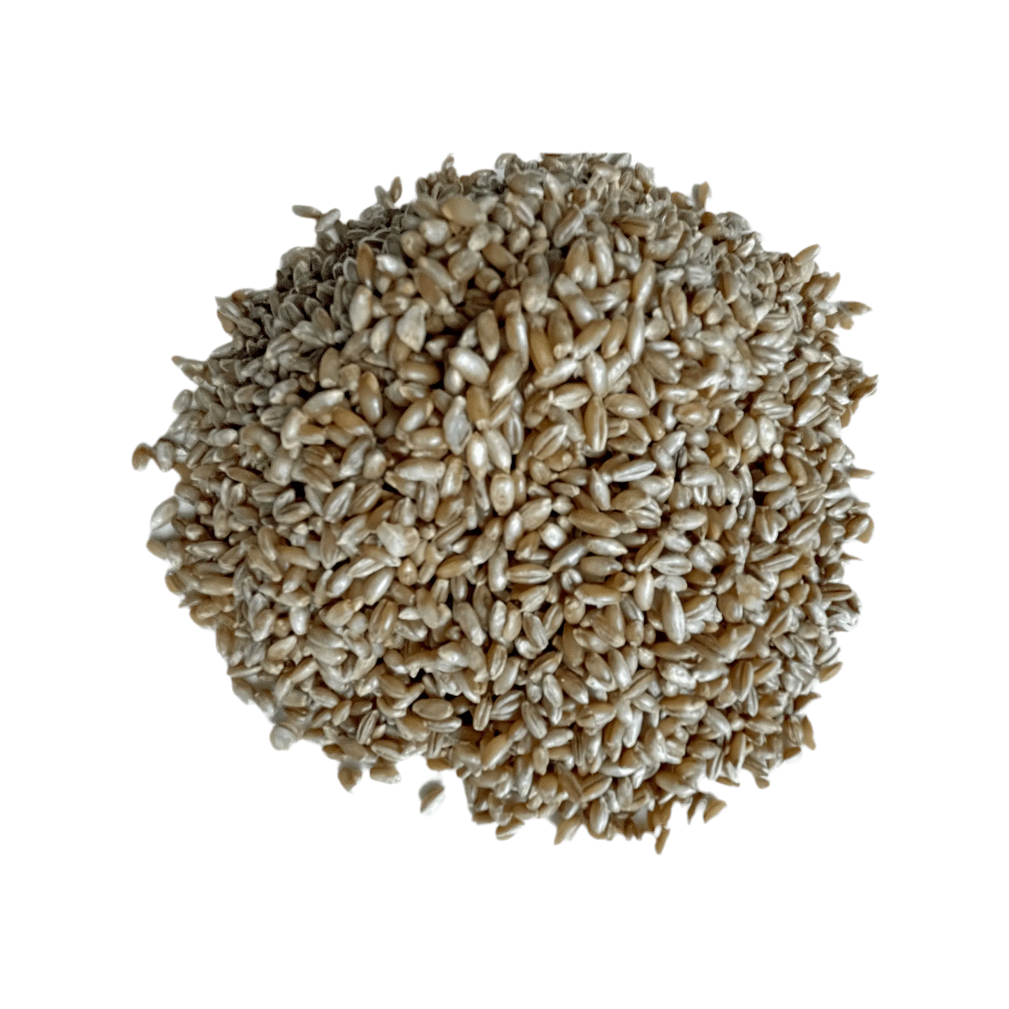 5 lb Organic Rye Berries - Shroomability