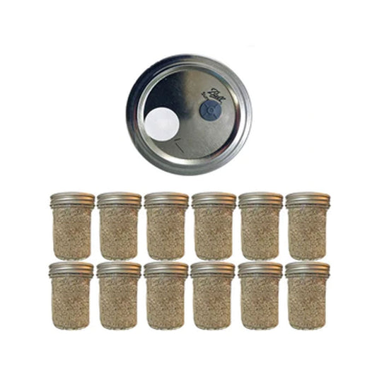 BRF Jar Price Increase - Shroomability