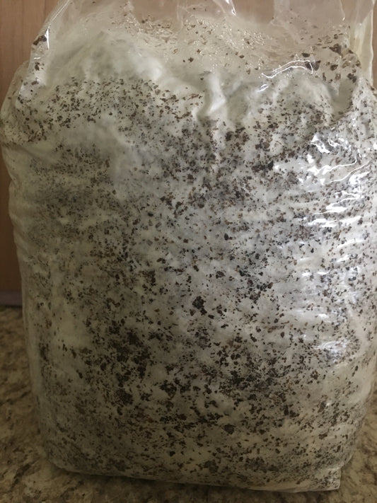 Ready-To-Grow Mushroom Bags Coming Beginning of 2024