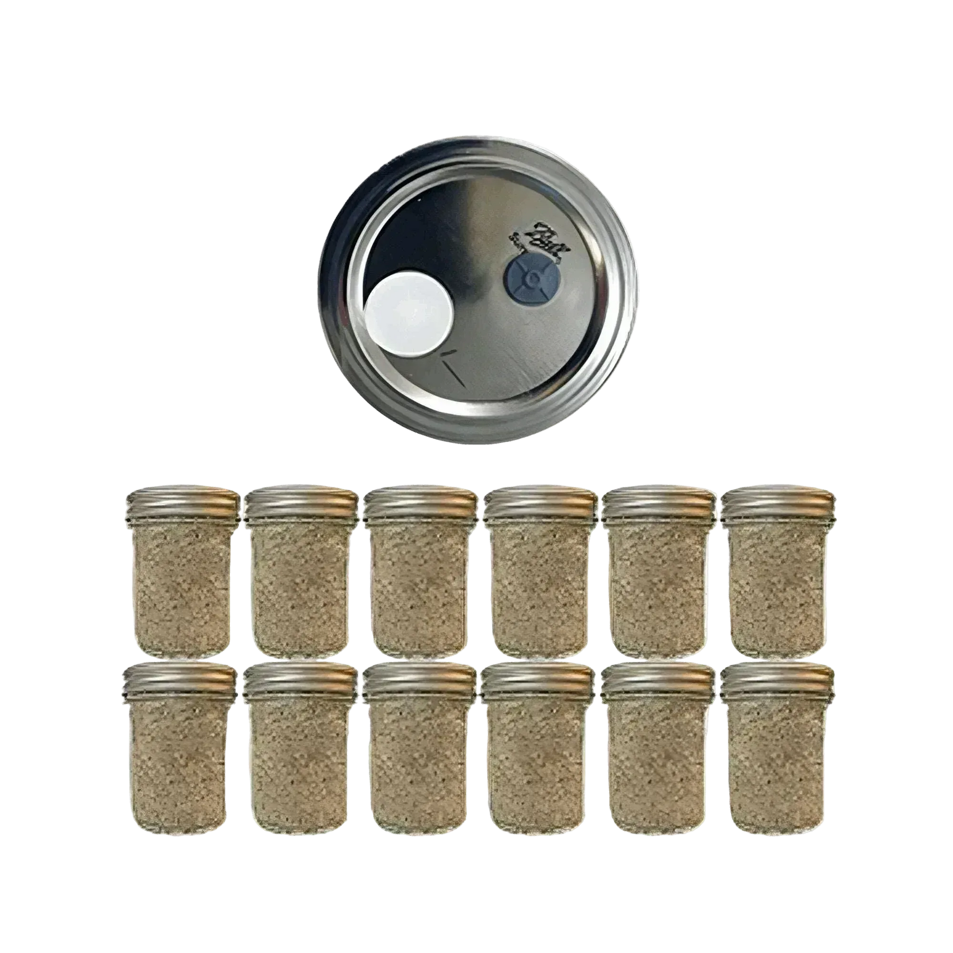 12 BRF Jars - Organic Mushroom Substrate - Shroomability