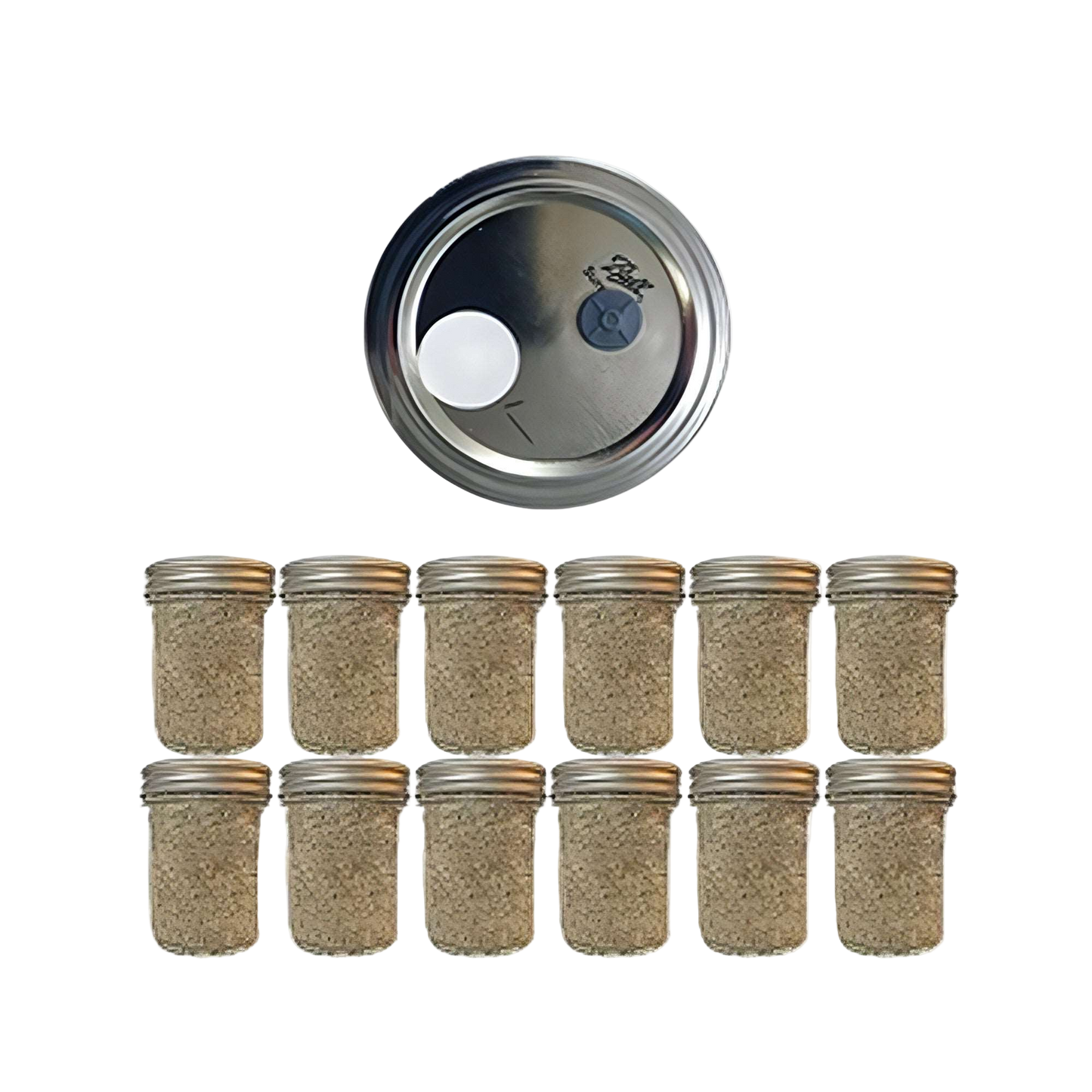 12 Brown Rice Flour and Vermiculite mushroom spawn jars pf tea