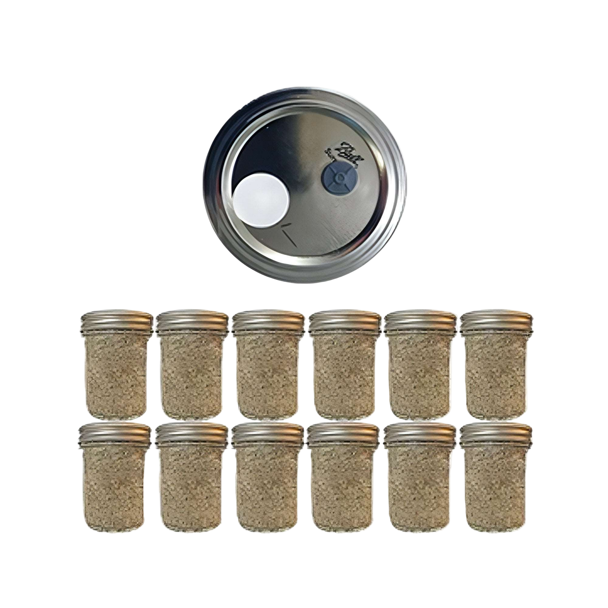 12 Brown Rice Flour and Vermiculite mushroom spawn jars pf tea