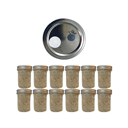 12 Brown Rice Flour and Vermiculite mushroom spawn jars pf tea