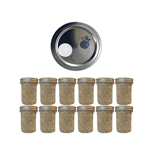12 Brown Rice Flour and Vermiculite mushroom spawn jars pf tea
