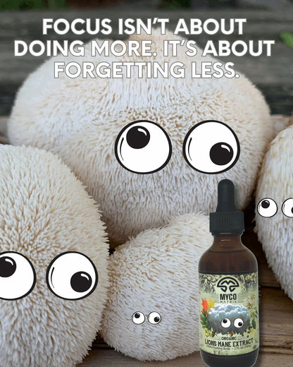 Mycomatrix Lions Mane Adaptogenic Mushroom Extract - Shroomability