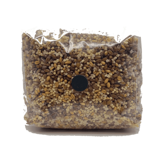3 pound multi grain mushroom spawn bag