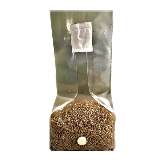 3 lb organic rye grain mushroom spawn bag