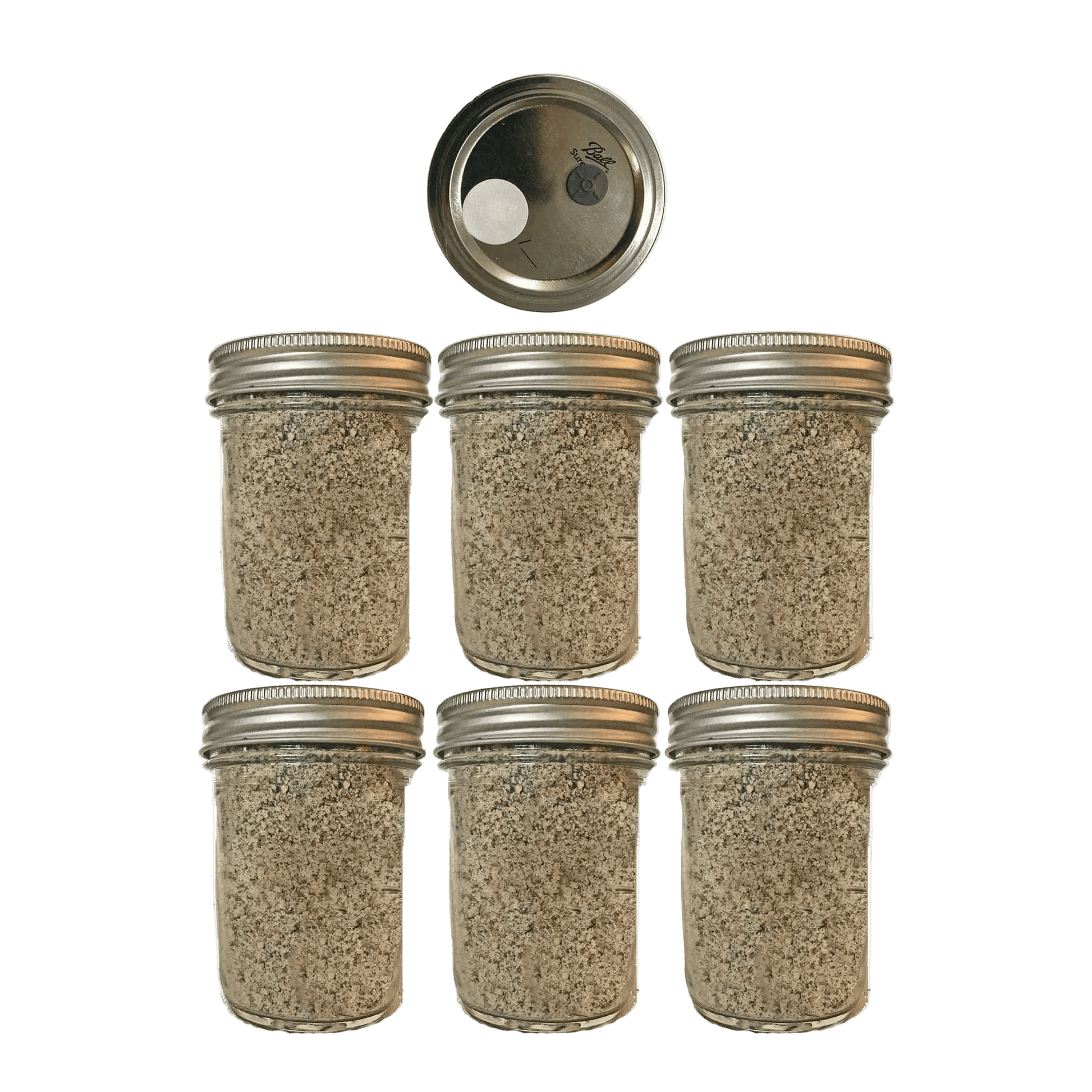 6 BRF Jars - Organic Mushroom Substrate - Shroomability