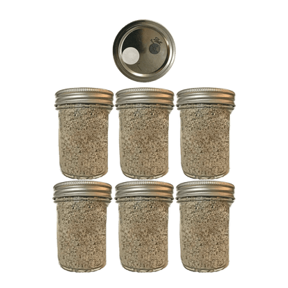 6 BRF Jars - Organic Mushroom Substrate - Shroomability