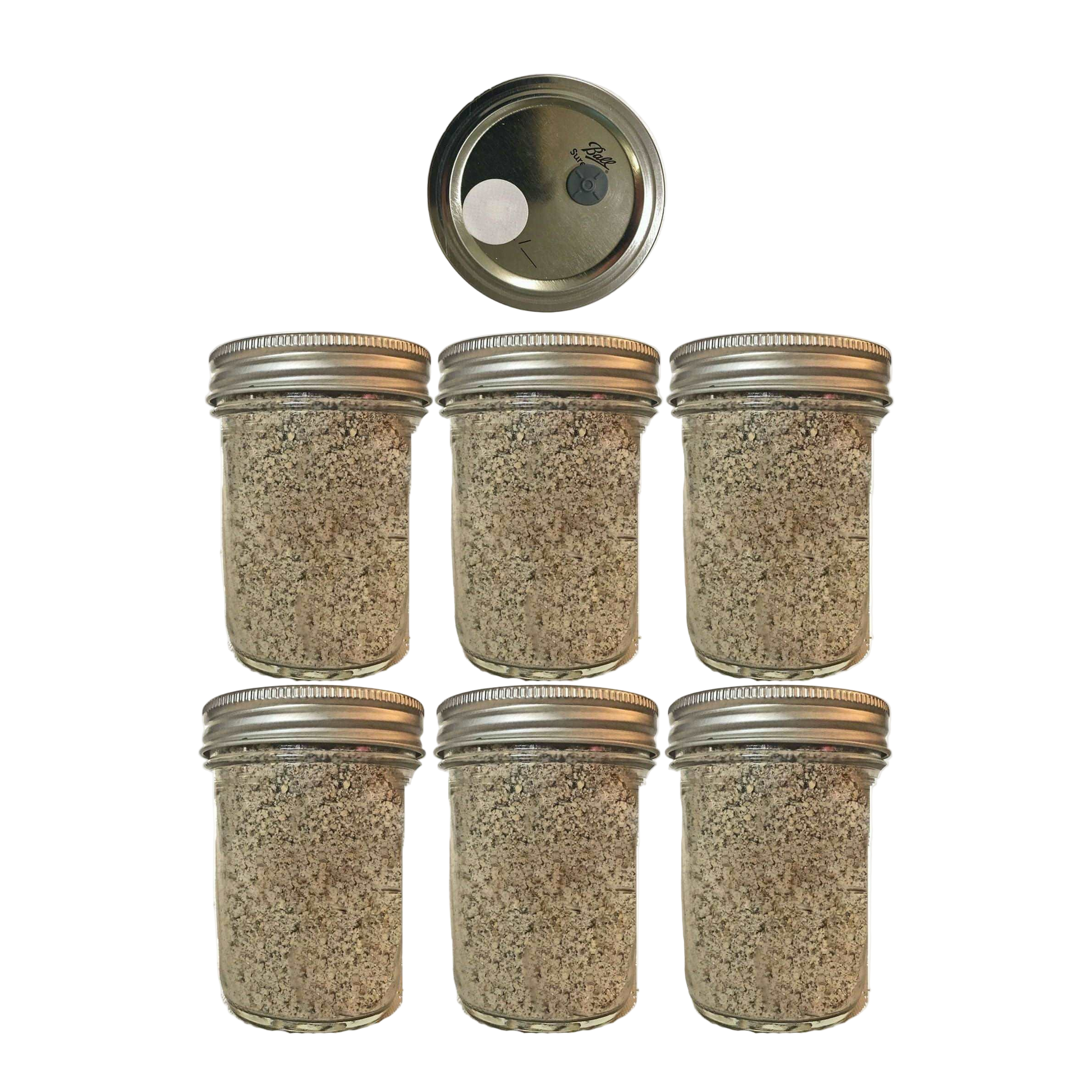 6 BRF Jars Mushroom Substrate Jars. Widely used for magic mushrooms