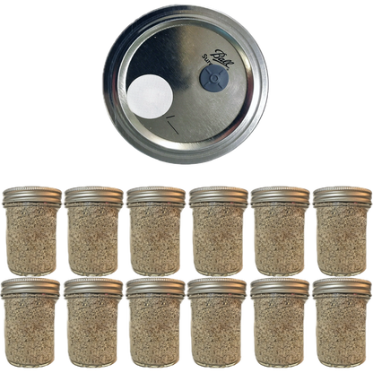 Shroomability brand organic BRF Jars 12-pack with injection ports and .22 micron gas exchange filter.