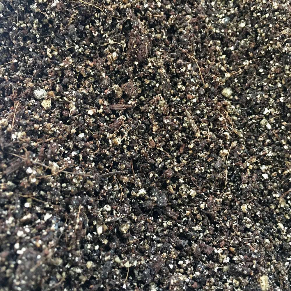 Coco Coir Bulk Casing Mix