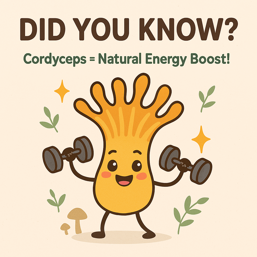 Mycomatrix Cordyceps Adaptogenic Mushroom Extract