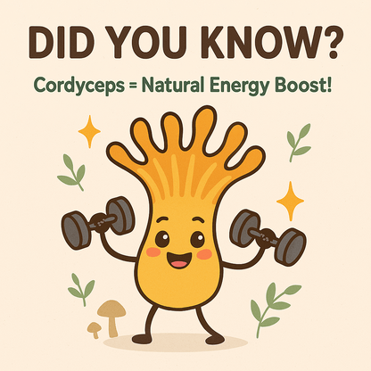 Mycomatrix Cordyceps Adaptogenic Mushroom Extract