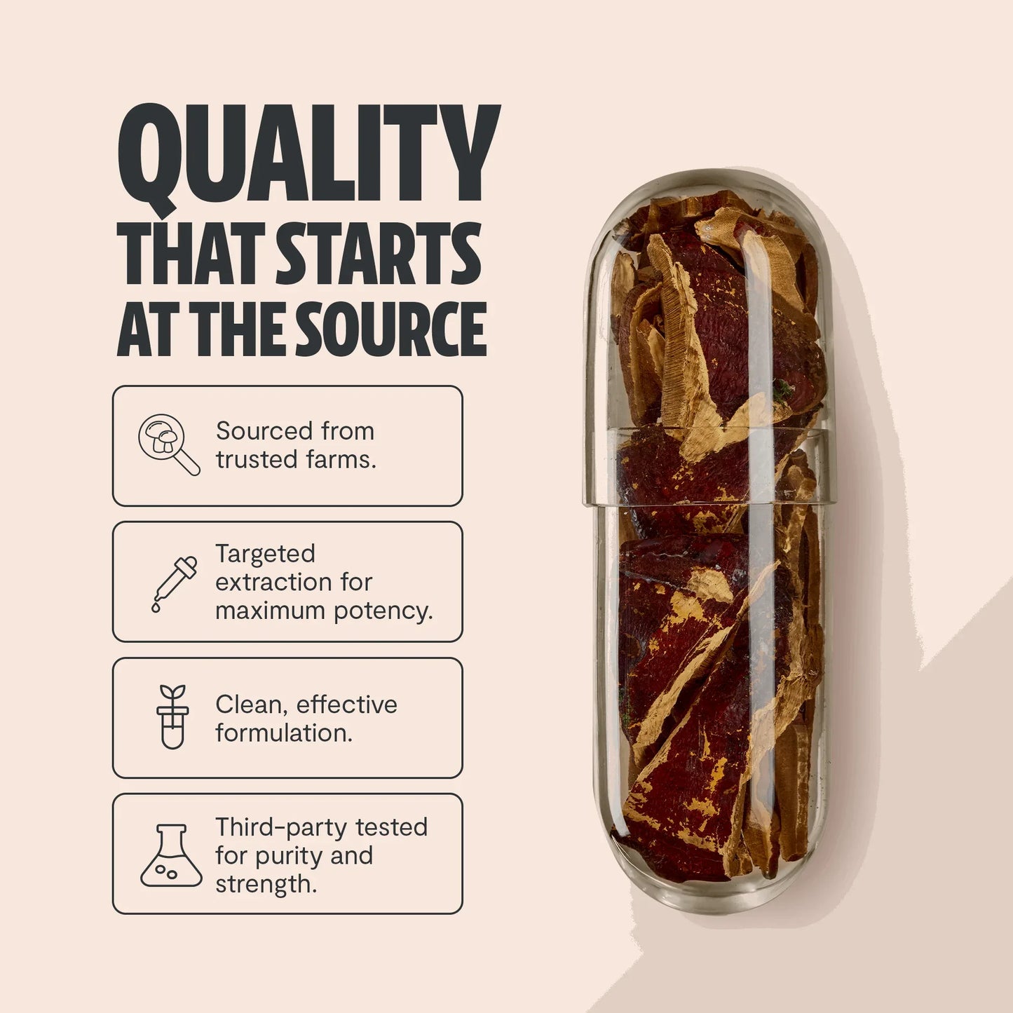 Reishi Mushroom Extract Capsules - Shroomability