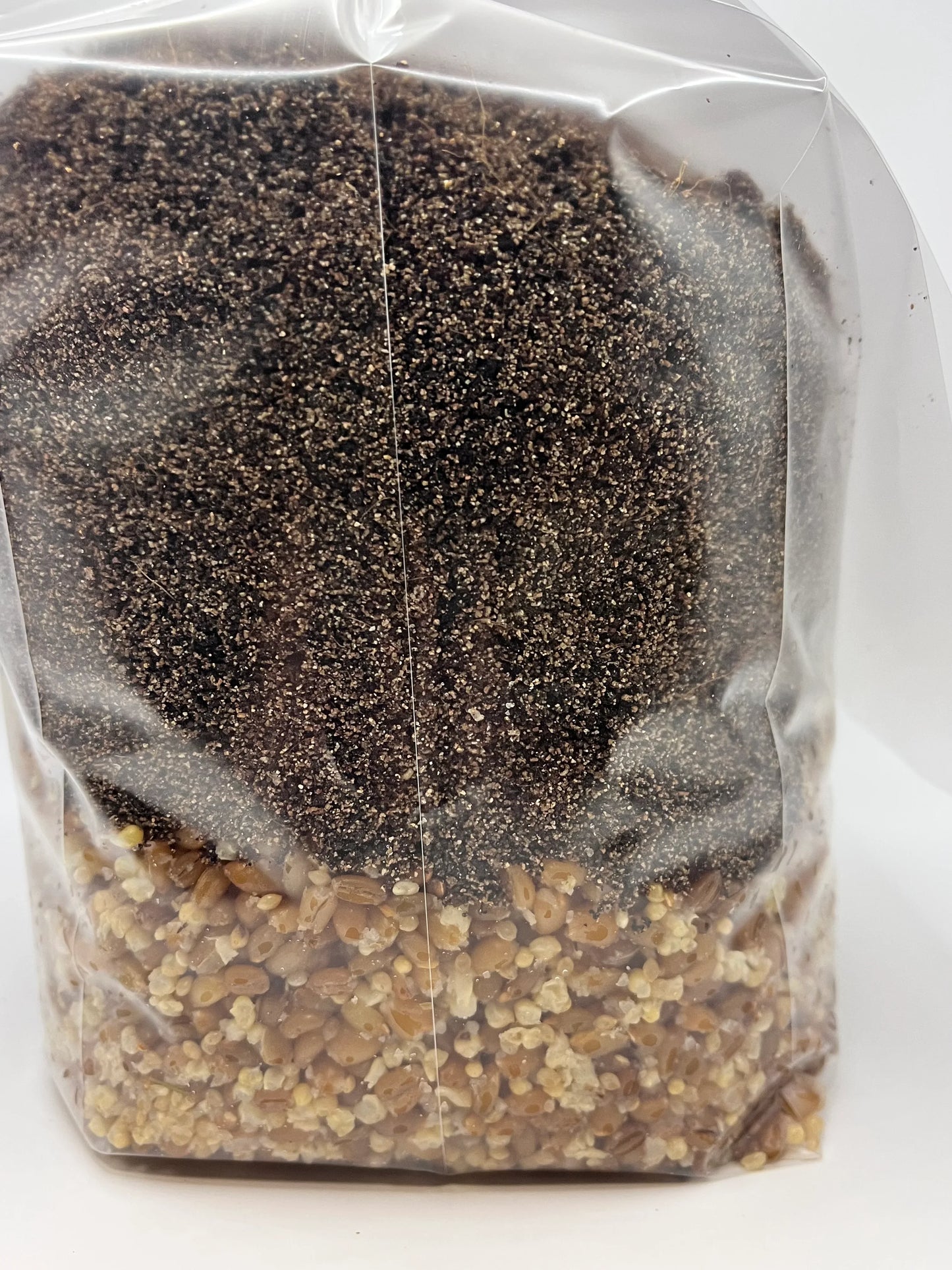 4 lb 3-Grain All-In-One Mushroom Grow Bag - Shroomability