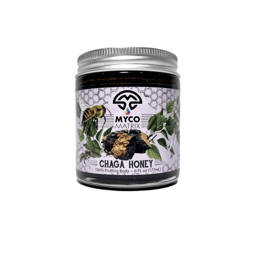 Myco Matrix Chaga Mushroom Honey 6 oz jar
