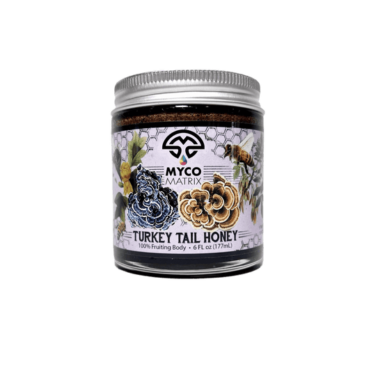 Myco Matrix Turkey Tail Mushroom Honey 6 oz jar