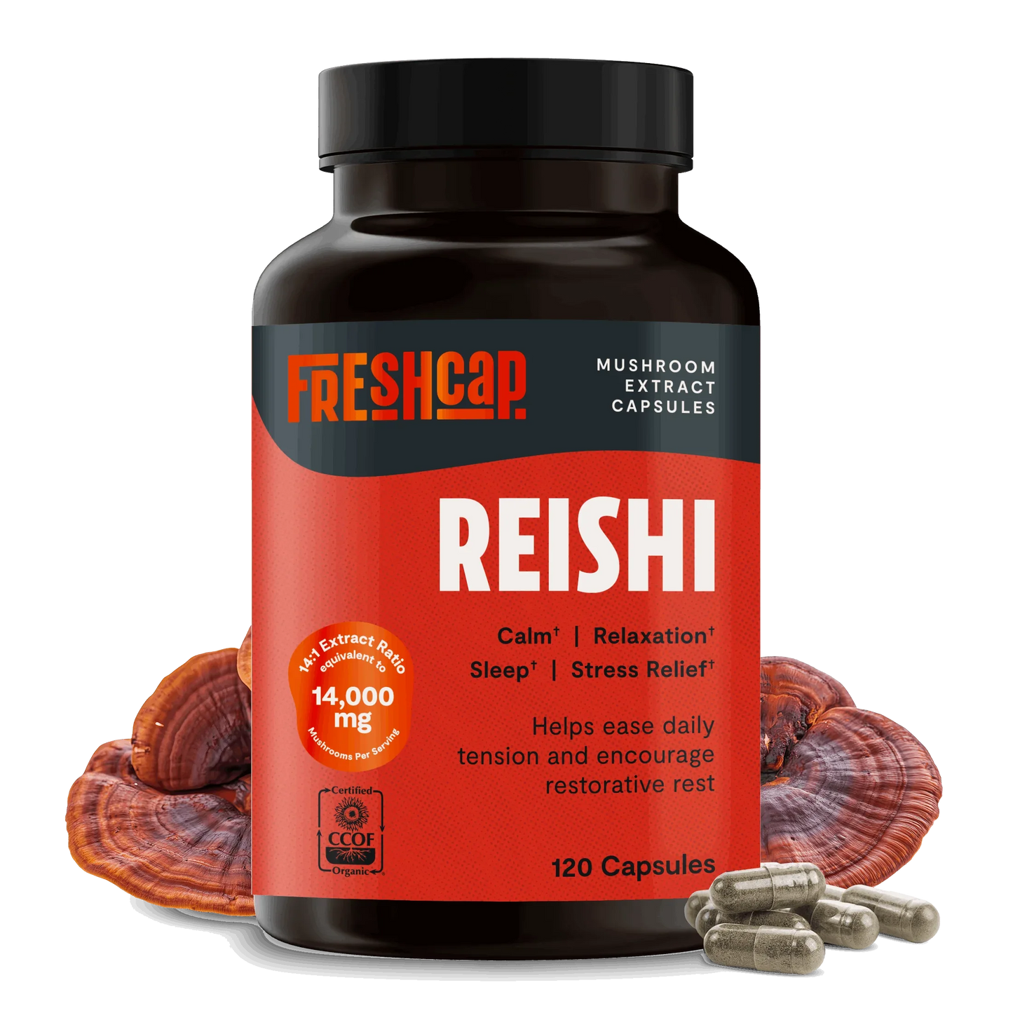 Reishi Mushroom Extract Capsules - Shroomability