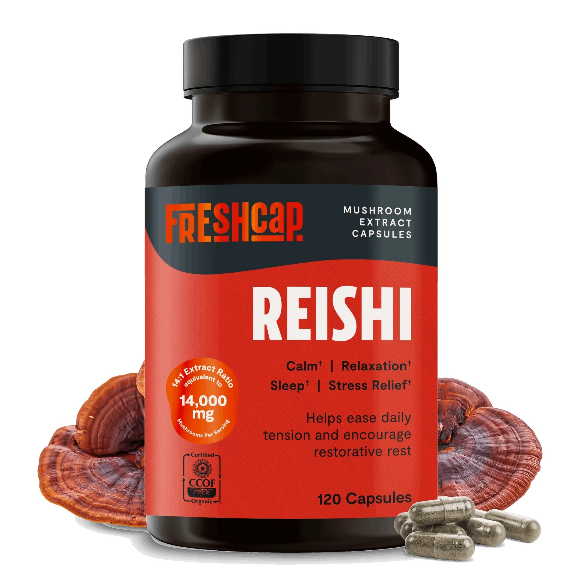 Reishi Mushroom Extract Capsules - Shroomability