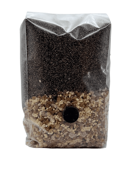 Shroomability 3 grain all in one mushroom mini grow bag 2 pounds