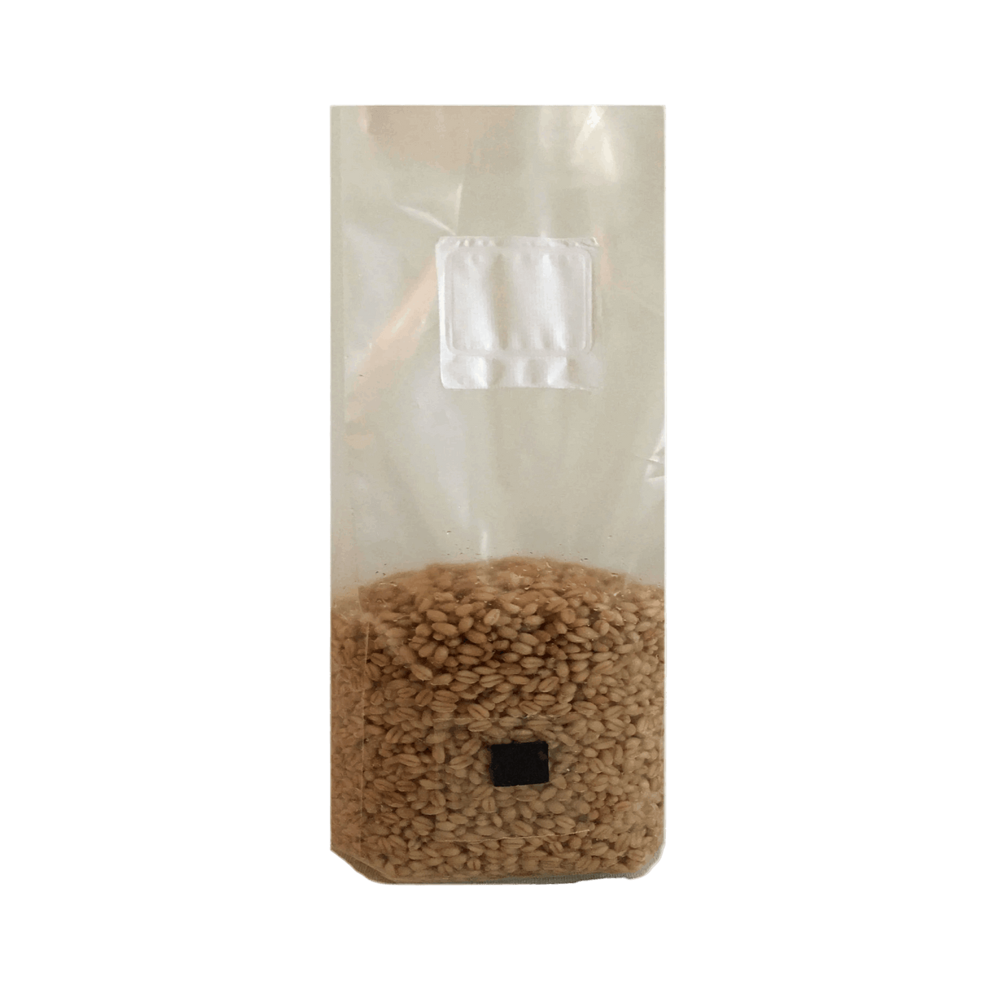 4 lb Wheat Berry Mushroom Spawn Bags - Shroomability