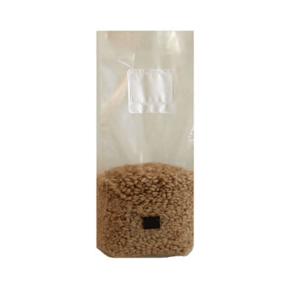4 lb Wheat Berry Mushroom Spawn Bags - Shroomability