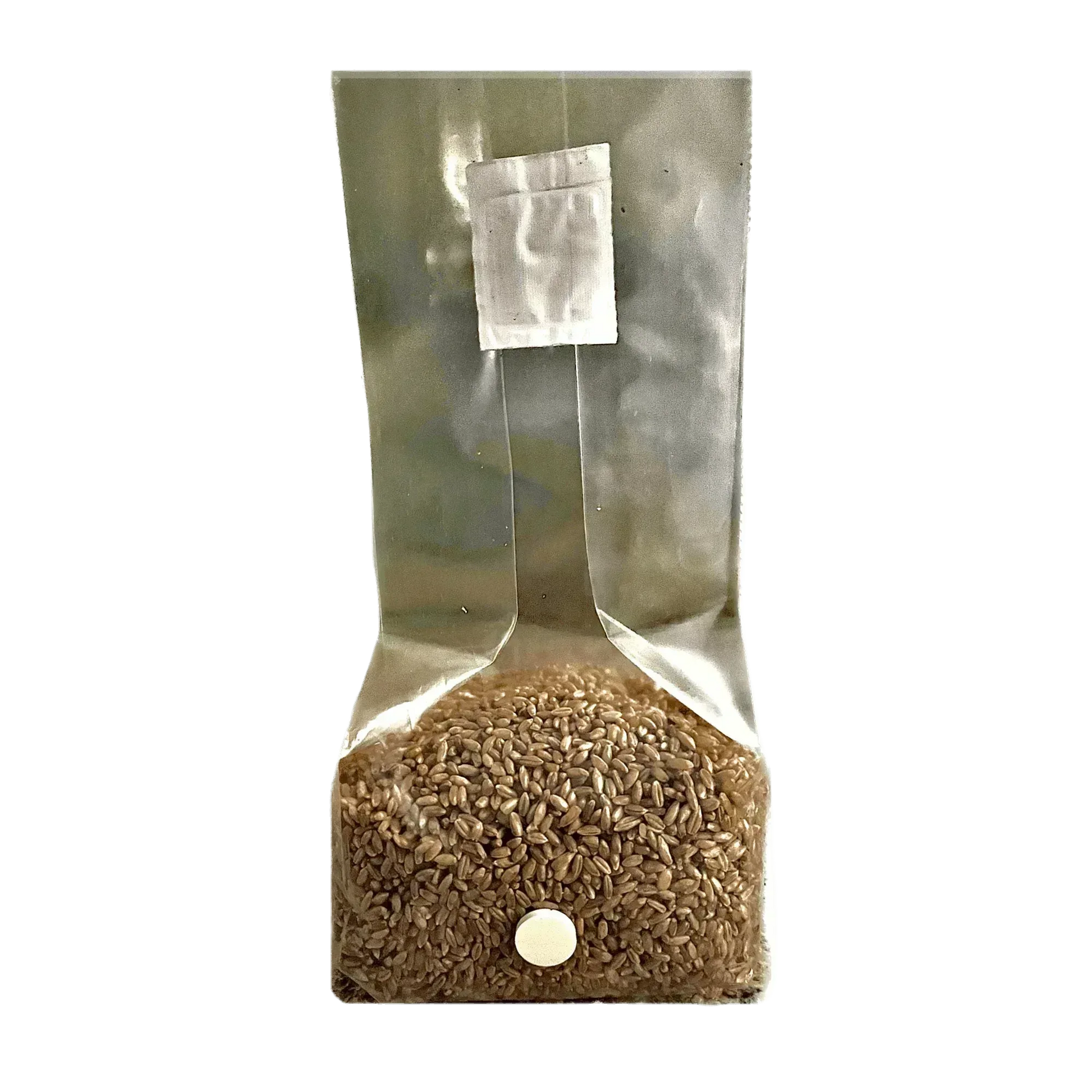 3 lb Organic Rye Berry Mushroom Spawn Bag - Shroomability
