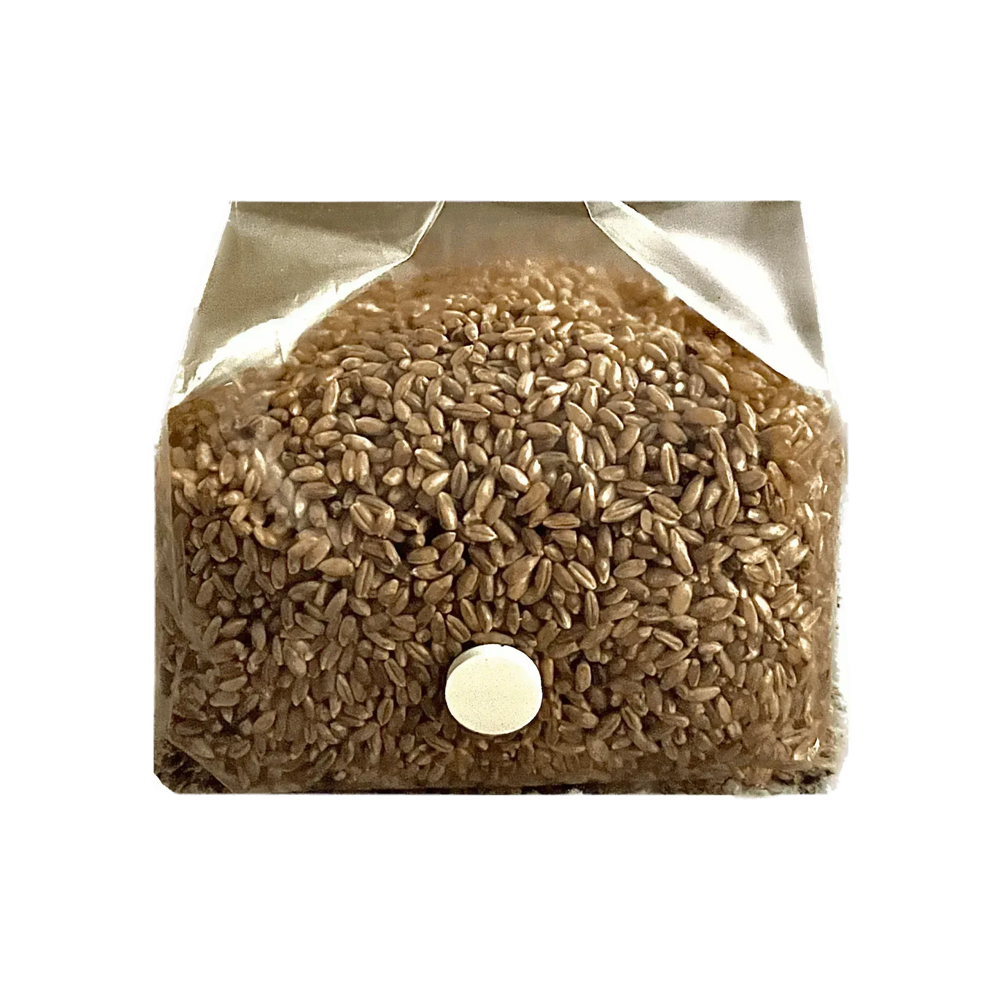 3 lb Organic Rye Berry Mushroom Spawn Bag - Shroomability