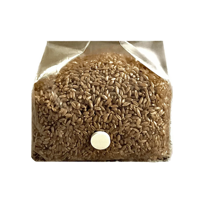 3 lb Organic Rye Berry Mushroom Spawn Bag - Shroomability