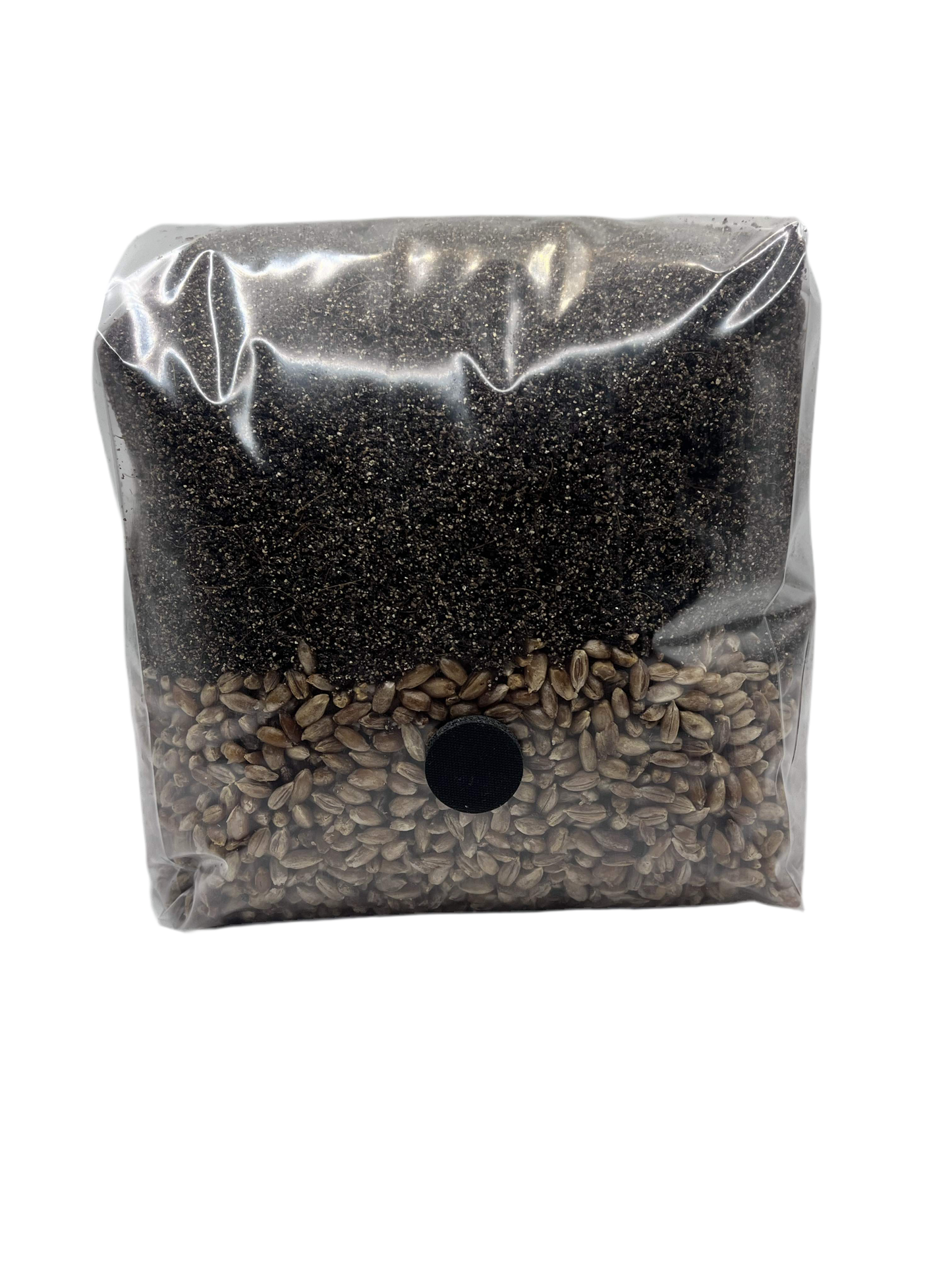Shroomability brand 3 pound all in one mushroom grow bag with organic rye berries and CVG casing mix.