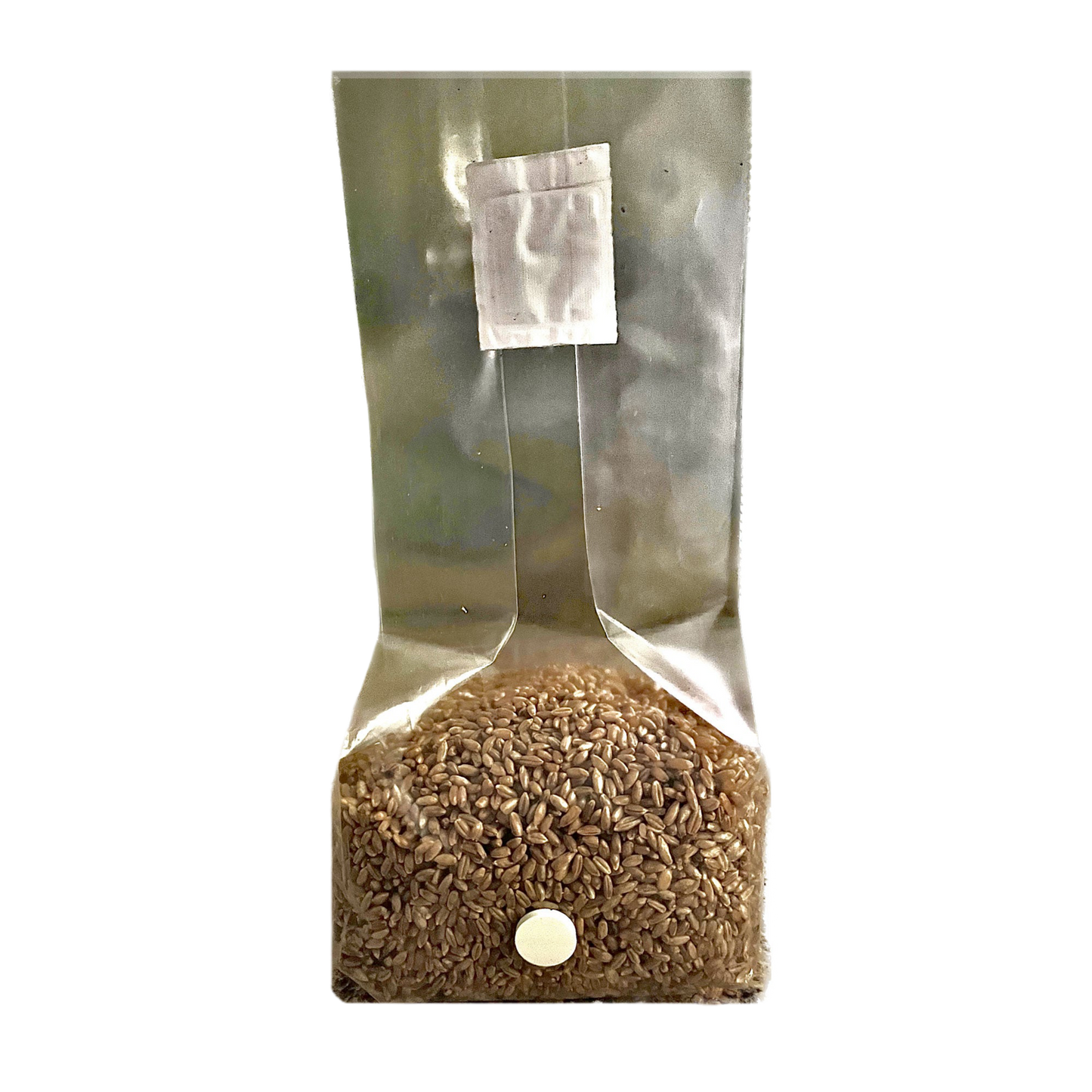 Shroomability brand rye berry mushroom spawn bag 3 pounds unbranded