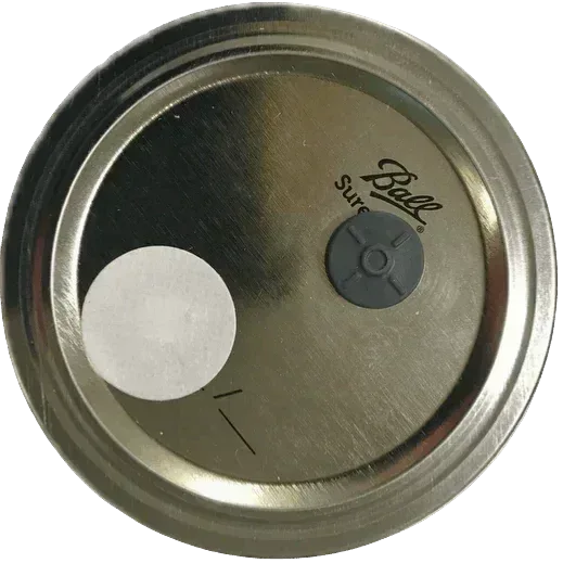 3 Wheat Berry Spawn Jars - Shroomability