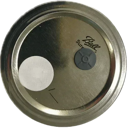 3 Wheat Berry Spawn Jars - Shroomability