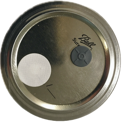 Spawn jar lid for mason jar