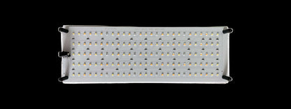 LED mushroom grow light