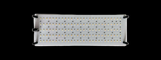 LED mushroom grow light