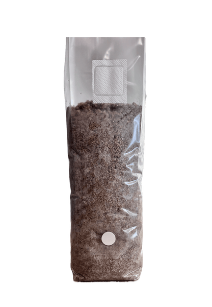 2.5 lb 100% Straw Pulp Mushroom Substrate Grow Bag