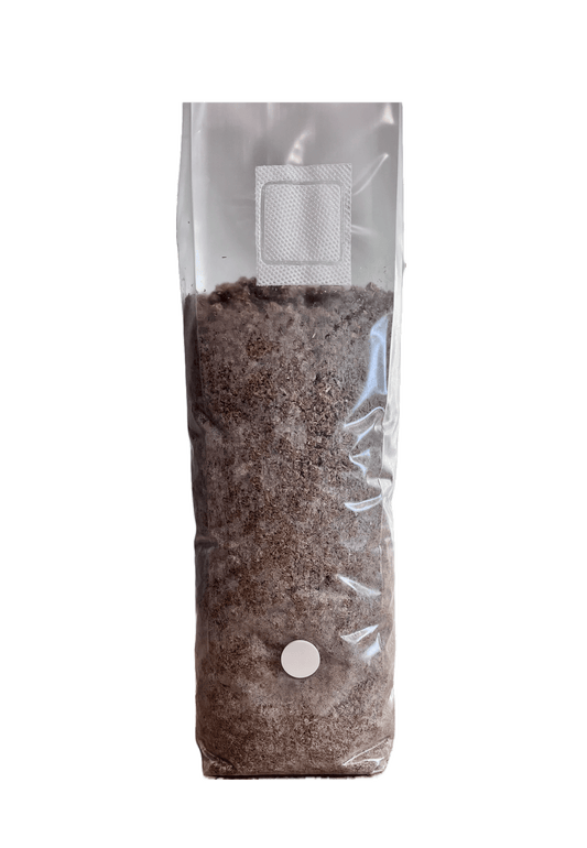 2.5 lb 100% Straw Pulp Mushroom Substrate Grow Bag