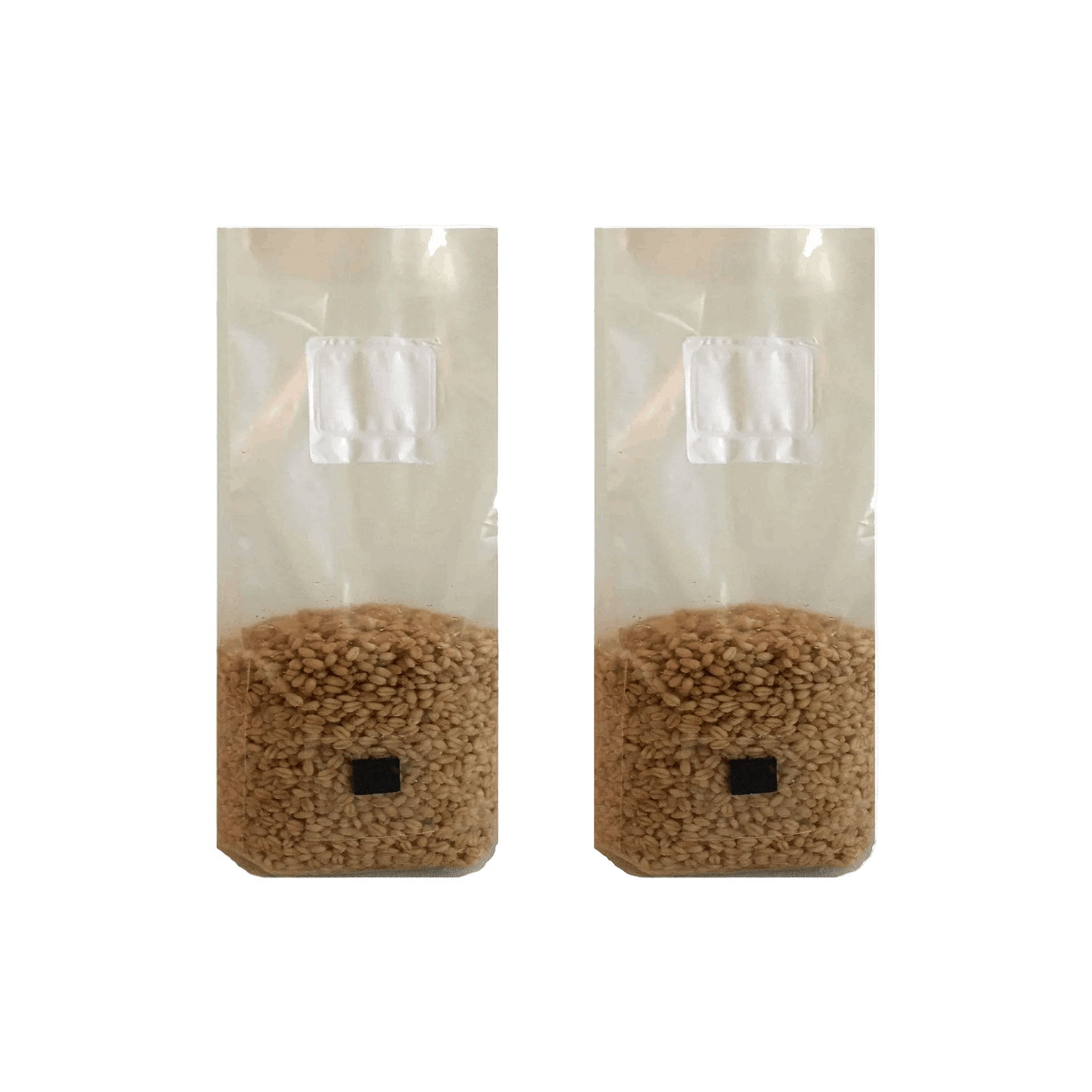 4 lb Wheat Berry Mushroom Spawn Bags - Shroomability