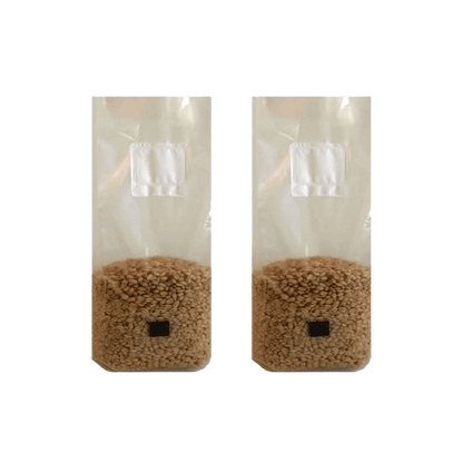 4 lb Wheat Berry Mushroom Spawn Bags - Shroomability