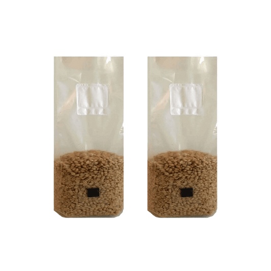 4 lb Wheat Berry Mushroom Spawn Bags - Shroomability