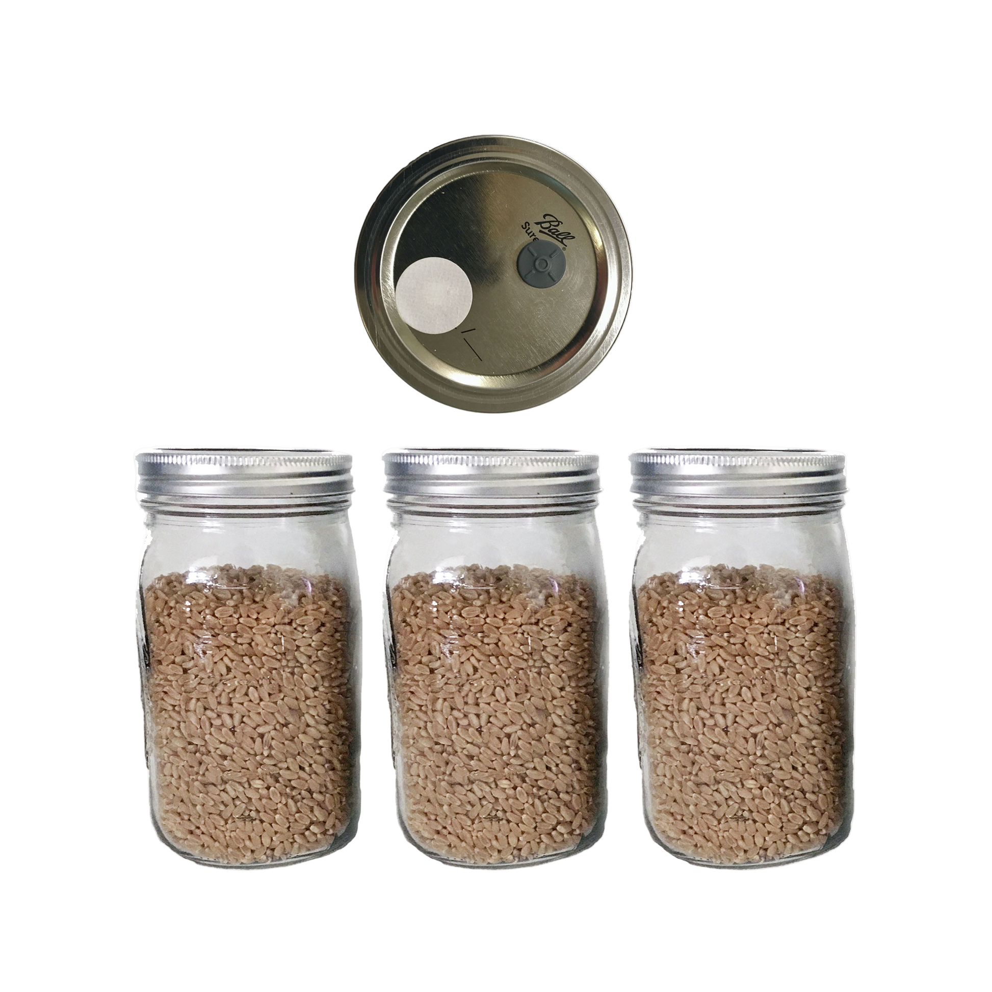 Wheat Berry Mushroom Spawn jars with Injection Port and .5 micron filter
