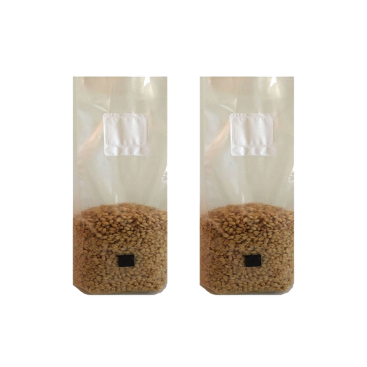 Wheat Berry Mushroom Spawn Bags with Injection Port and .5 micron filter